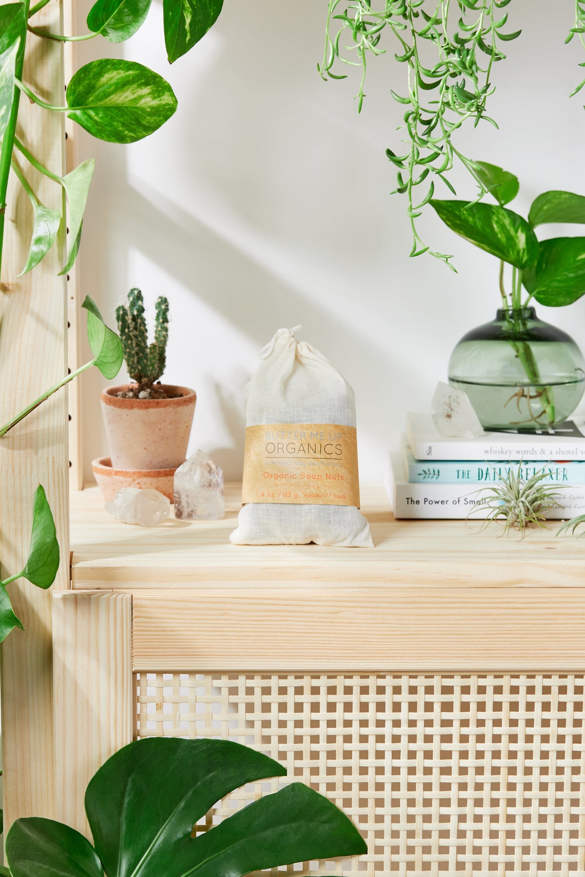 Organic Soap Nuts